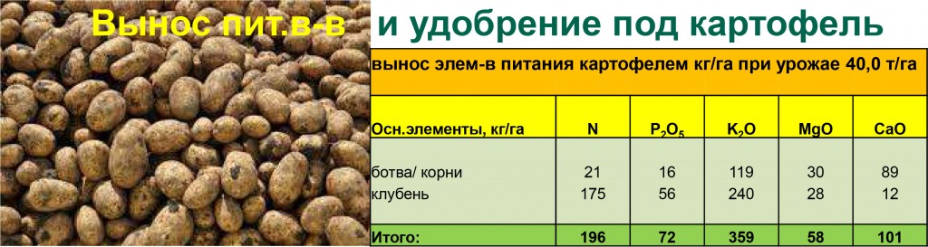 Основное удобрение и внекорневая подкормка картофеля